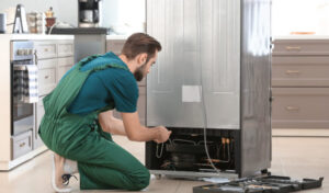 Appliance Service 89108