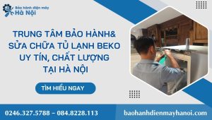trung tam bao hanh tu lanh beko